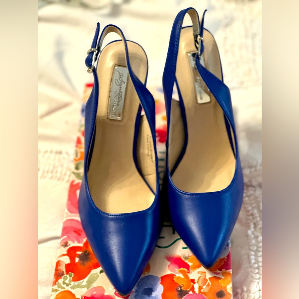 Signature By Olivia Miller Blue Heels             Shoes Sz 8